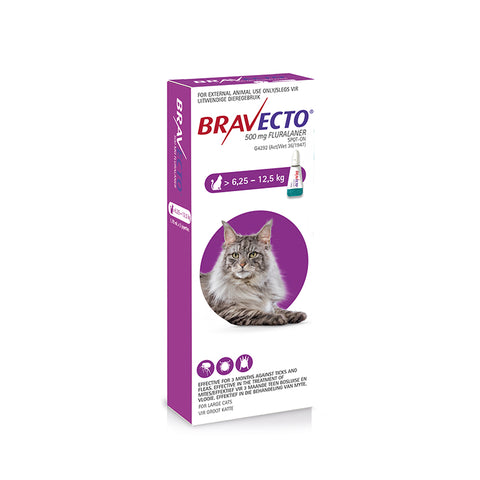 *Bravecto Spot-On 1.79ml (>6.25-12.5kg)