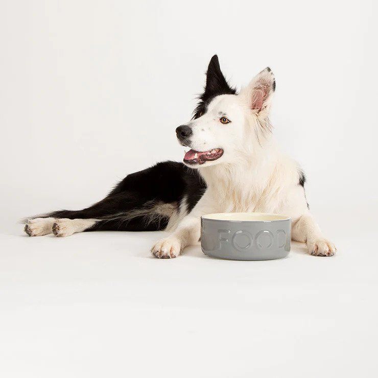 *Scruffs Classic Food Dog Bowl