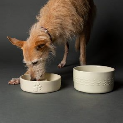 *Scruffs Icon Slow Feeder Cream Pet Bowl 20cm