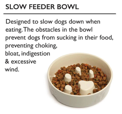 *Scruffs Icon Slow Feeder Cream Pet Bowl 20cm