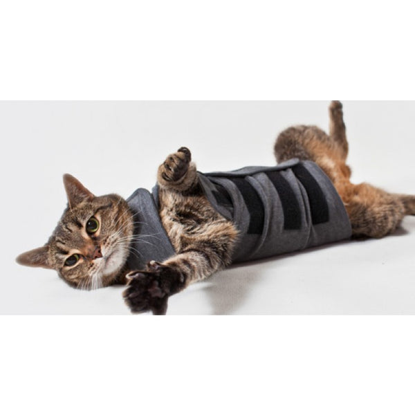 Thundershirt for best sale cats reviews